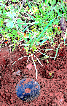 Beginning Min Jie Bi Therapy Beginning Min Jie Bi Therapy